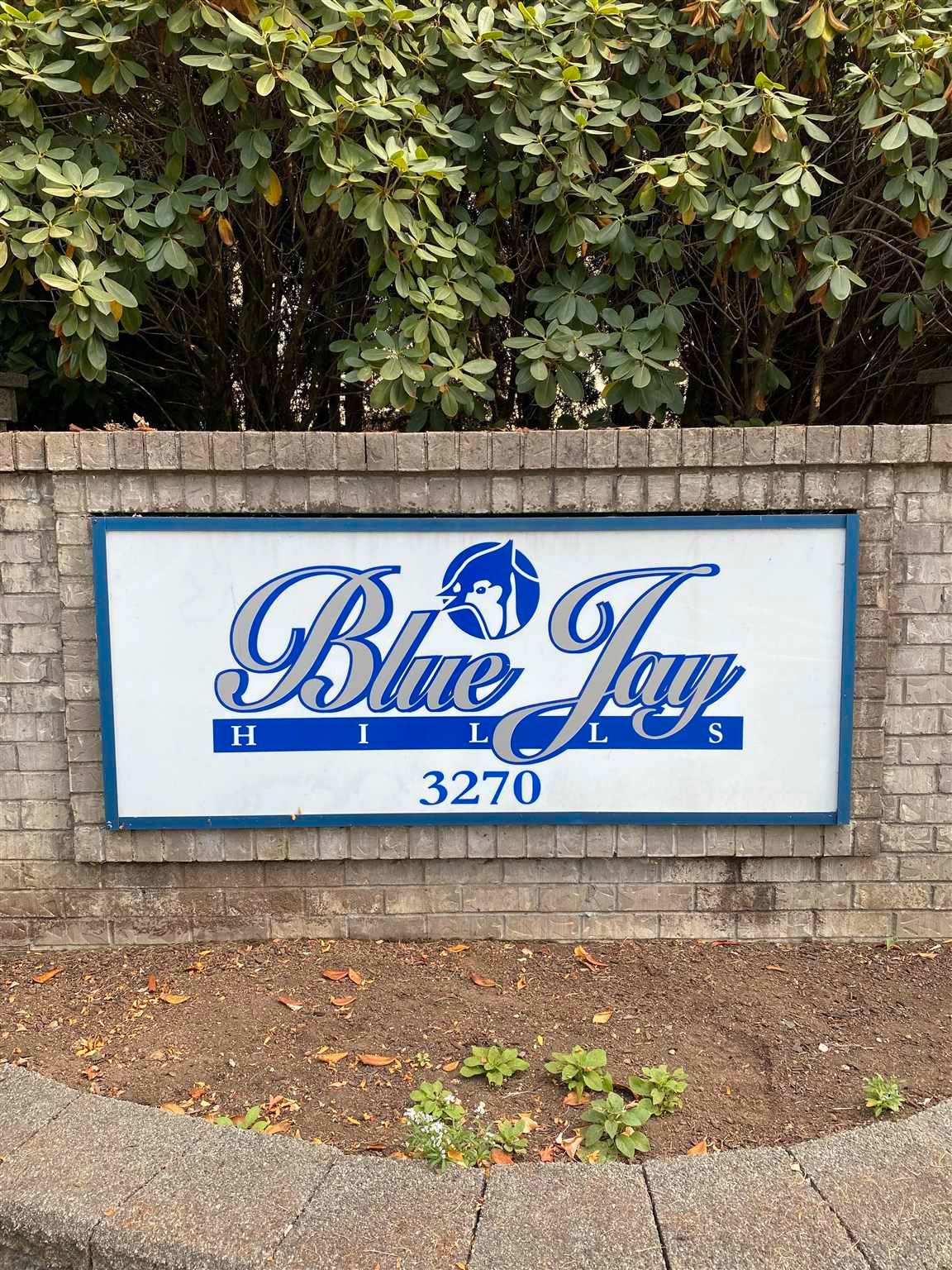 Main Photo: 26 3270 BLUE JAY Street in Abbotsford: Abbotsford West Townhouse for sale in "Blue Jay Hills" : MLS®# R2606551