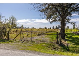 Photo 40: 6905 BRADNER ROAD in Abbotsford: House for sale : MLS®# R2874919
