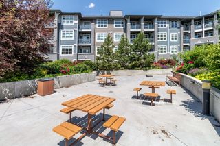 Photo 26: 344 25 Auburn Meadows Avenue SE in Calgary: Auburn Bay Apartment for sale : MLS®# A1238126