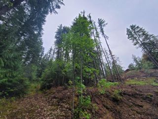 Photo 5: LOT 8 BALFOUR AVENUE in Kaslo: Vacant Land for sale : MLS®# 2471851