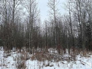 Photo 14: 18 Pinebrook Estates: Rural Thorhild County Vacant Lot/Land for sale : MLS®# E4372237
