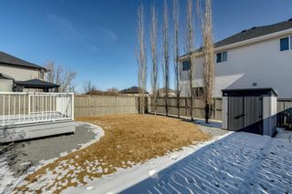 Photo 43: 307 Kincora Bay NW in Calgary: Kincora Detached for sale : MLS®# A1191670