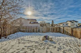 Photo 21: 3795 44 Avenue NE in Calgary: Whitehorn Detached for sale : MLS®# A2012349