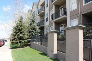 Photo 21: 305 15304 BANNISTER Road SE in Calgary: Midnapore Apartment for sale : MLS®# C4296151