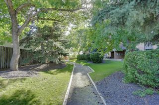 Photo 15: 203 9800 Horton Road SW in Calgary: Haysboro Apartment for sale : MLS®# A2132721