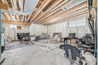 Photo 42: 74 Belvedere Green SE in Calgary: Belvedere Detached for sale : MLS®# A2129049
