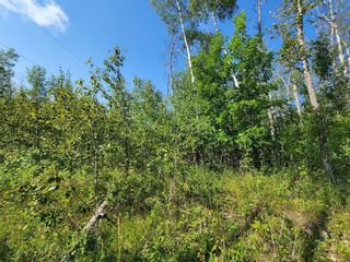 Photo 7: 53 Viking Trail in Gimli Rm: Vacant Land for sale : MLS®# 202303367