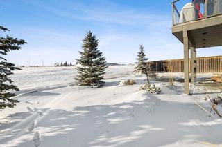 Photo 38: 480 Sunset Link: Crossfield Detached for sale : MLS®# A2011625