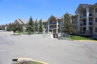 Photo 36: 226 728 Country Hills Road NW in Calgary: Country Hills Apartment for sale : MLS®# A1233737