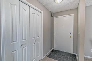Photo 5: 2204 2280 68 Street NE in Calgary: Monterey Park Apartment for sale : MLS®# A2020061