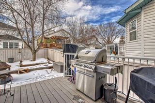 Photo 43: 120 Lakeview Cove: Chestermere Detached for sale : MLS®# A2104699