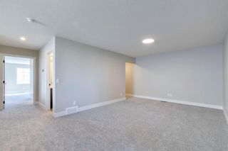 Photo 35: 19 Savoy Terrace SE in Calgary: C-390 Detached for sale : MLS®# A1258778