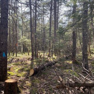 Photo 17: Lot 8 Old Trunk Highway 3 in Hebbs Cross: 405-Lunenburg County Vacant Land for sale (South Shore)  : MLS®# 202300313