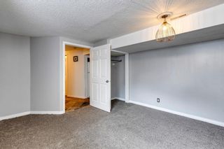 Photo 25: 1735 Valleyview Road NE in Calgary: Vista Heights Detached for sale : MLS®# A1252166