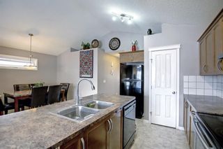 Photo 46: 250 Martinwood Place NE in Calgary: Martindale Detached for sale : MLS®# A1186078