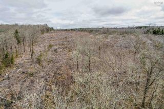 Photo 11: Lot N4 Nature Haven Road in Lake Paul: Kings County Vacant Land for sale (Annapolis Valley)  : MLS®# 202207659