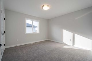 Photo 29: 713 Mandalay Link: Carstairs Detached for sale : MLS®# A2109646