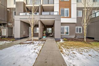 Photo 42: 1106 4641 128 Avenue NE in Calgary: Skyview Ranch Apartment for sale : MLS®# A2128394