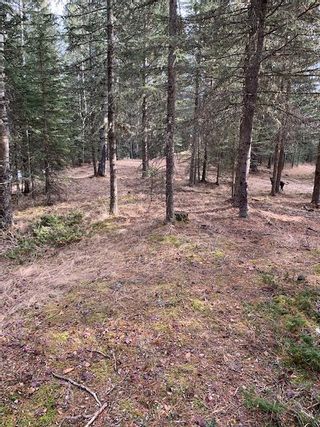 Photo 15: 231057 Rge Rd 54: Bragg Creek Residential Land for sale : MLS®# A1118605