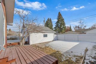 Photo 42: 351 94 Avenue SE in Calgary: Acadia Detached for sale : MLS®# A2113931