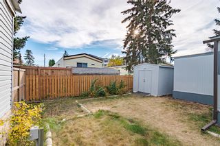 Photo 25: 24 6220 17 Avenue SE in Calgary: Red Carpet Mobile for sale : MLS®# A2024170