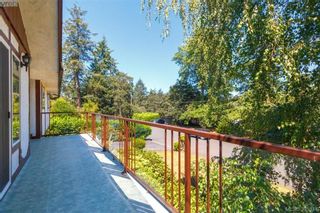 Photo 13: 4188 Bracken Ave in VICTORIA: SE Lake Hill House for sale (Saanich East)  : MLS®# 792670