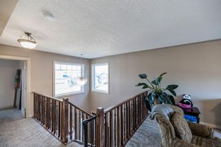 Photo 16: 22 Royal Birch Way NW in Calgary: Royal Oak Detached for sale : MLS®# A2013837