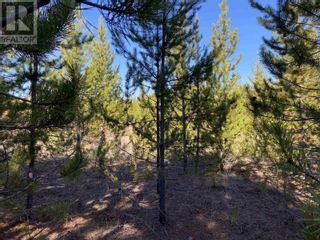 Photo 22: Lot B LONE BUTTE HORSE LAKE ROAD in 100 Mile House: Vacant Land for sale : MLS®# R2870362