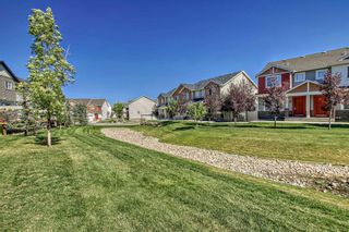 Photo 41: 246 Pantego Lane NW in Calgary: Panorama Hills Row/Townhouse for sale : MLS®# A2079195