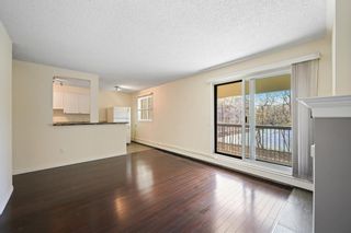 Photo 14: 203 305 25 Avenue SW in Calgary: Mission Apartment for sale : MLS®# A2044945