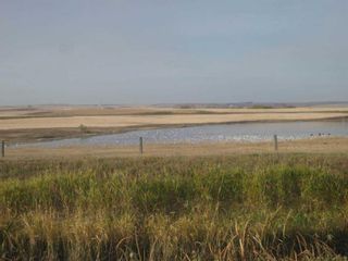 Photo 45: 242044A Range Road 224: Rural Wheatland County Detached for sale : MLS®# A2072751