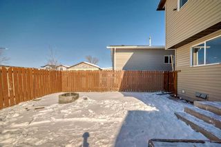Photo 32: 76 Martinbrook Road NE in Calgary: Martindale Detached for sale : MLS®# A2119222