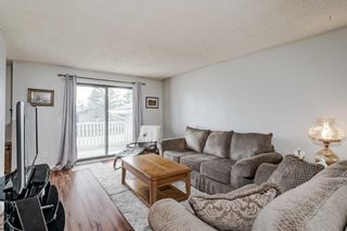 Photo 4: 184 Doverglen Crescent SE in Calgary: Dover Semi Detached (Half Duplex) for sale : MLS®# A2071648