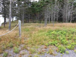 Photo 6: 00 Highway316 in New Harbour: 303-Guysborough County Vacant Land for sale (Highland Region)  : MLS®# 202119405