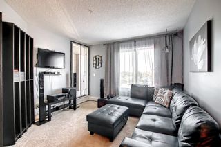 Photo 8: 6203 403 Mackenzie Way SW: Airdrie Apartment for sale : MLS®# A1256844