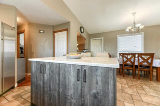 Photo 20: 71 APPLEMEAD Close in Calgary: Applewood Park Detached for sale : MLS®# A2055936