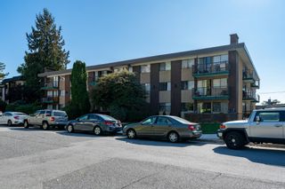 Photo 10: 165 W 6TH Street in North Vancouver: Lower Lonsdale Multi-Family Commercial for sale in "Ocean View Apartments" : MLS®# C8055350