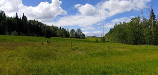 Photo 4: 15 53018 Range Road 175 in Rural Yellowhead County: Rural Yellowhead Residential Land for sale : MLS®# A1246075
