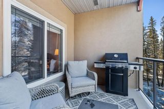 Photo 9: 408 10 Discovery Ridge Close SW in Calgary: Discovery Ridge Apartment for sale : MLS®# A1186016