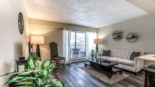 Photo 6: 301 1717 12 Street SW in Calgary: Lower Mount Royal Apartment for sale : MLS®# A2032440