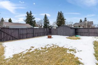 Photo 27: 217 Marquis Place SE: Airdrie Detached for sale : MLS®# A1175699