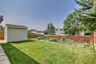 Photo 24: 4531 43 Street NE in Calgary: Whitehorn Detached for sale : MLS®# A2077524