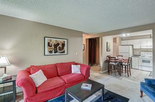 Photo 8: 3203 393 Patterson Hill SW in Calgary: Patterson Apartment for sale : MLS®# A2051640
