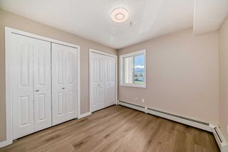 Photo 25: 209 1717 60 Street SE in Calgary: Red Carpet Apartment for sale : MLS®# A2133379
