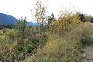 Photo 2: 36 2481 Squilax Anglemont Road in Lee Creek: North Shuswap Land Only for sale (Shuswap)  : MLS®# 10072100
