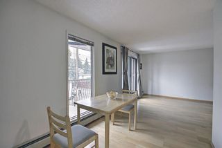 Photo 11: 301 1113 37 Street SW in Calgary: Rosscarrock Apartment for sale : MLS®# A1139650