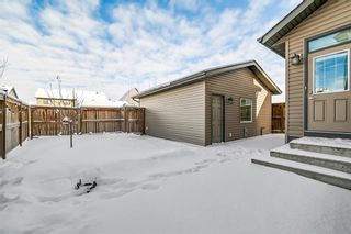 Photo 2: 14 Walden Court SE in Calgary: Walden Detached for sale : MLS®# A2022667