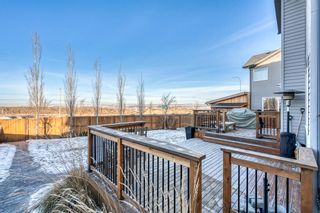 Photo 38: 51 Sage Berry Place NW in Calgary: Sage Hill Detached for sale : MLS®# A2019788