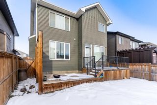 Photo 49: 12 Evansfield Place NW in Calgary: Evanston Detached for sale : MLS®# A2012627