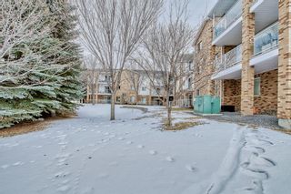 Photo 47: 246 165 Manora Place NE in Calgary: Marlborough Park Apartment for sale : MLS®# A2021263